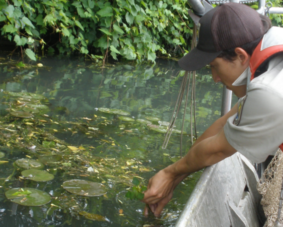 調試水產養殖水質在線檢測設備